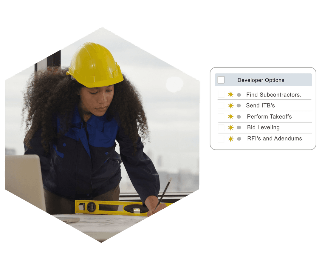 Software interface with developer options